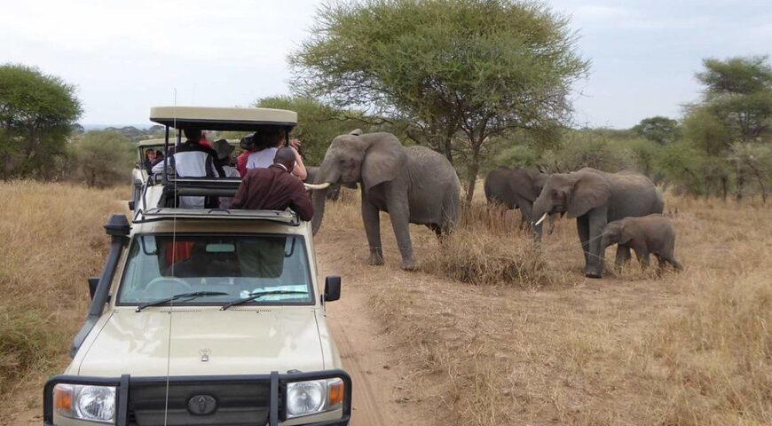 tanzania adventure safaris