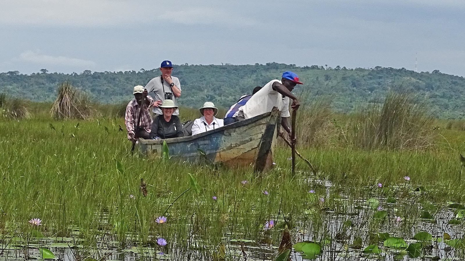 The 10 Compelling Reasons to Visit Mabamba Swamp