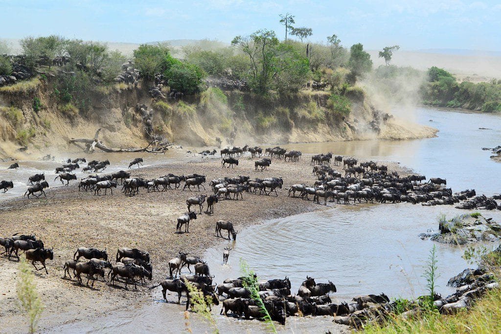 The Great Migration Safari: Witnessing Nature's Spectacle in Tanzania