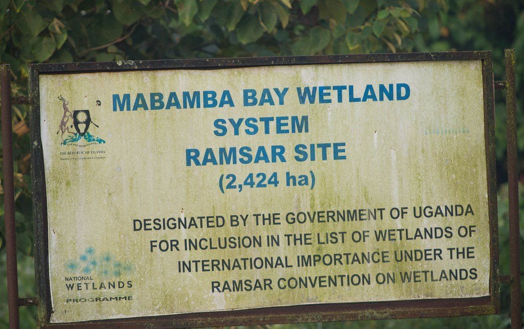 Mabamba Bay Swamp and Wetland