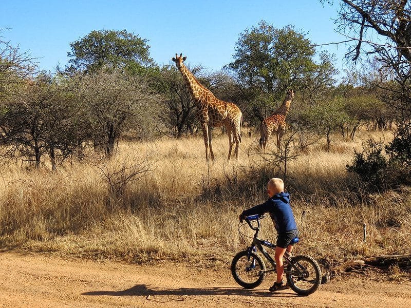 Uganda Family Safari with Children
