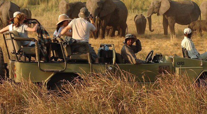 Finding the Perfect Season for Your Tanzania Adventure Safari Tour