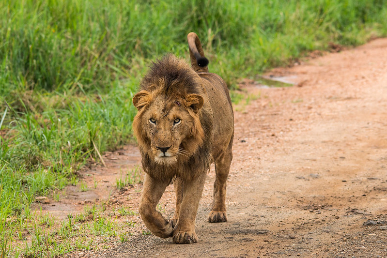 Kidepo Valley National Park