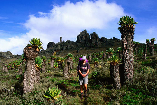 Mount Elgon National Park