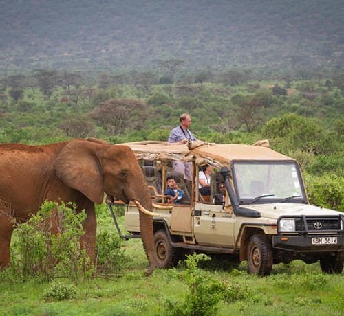 How to Stay Safe and Respectful on a Kenya Safari: Tips for Responsible Tourism