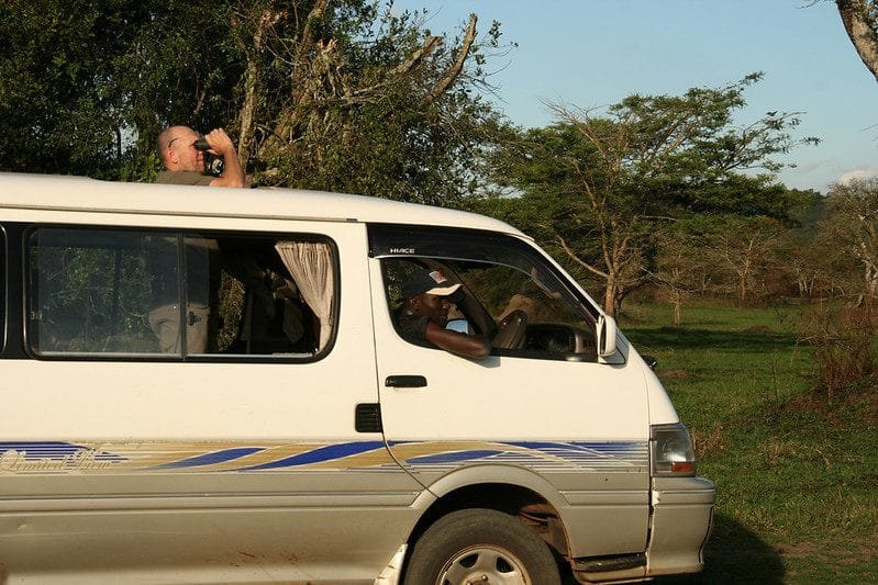 Game drives in Lake Mburo national park