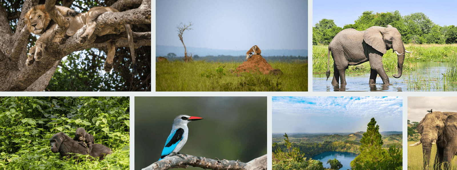 The Best African Summer Vacation Spots 239