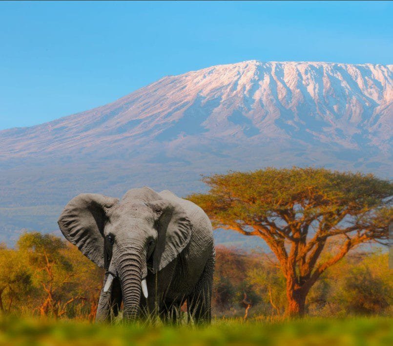 Mount Kilimanjaro rising above the clouds with rugged terrain and diverse vegetation below.