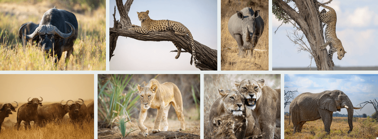 East Africa Group Adventures