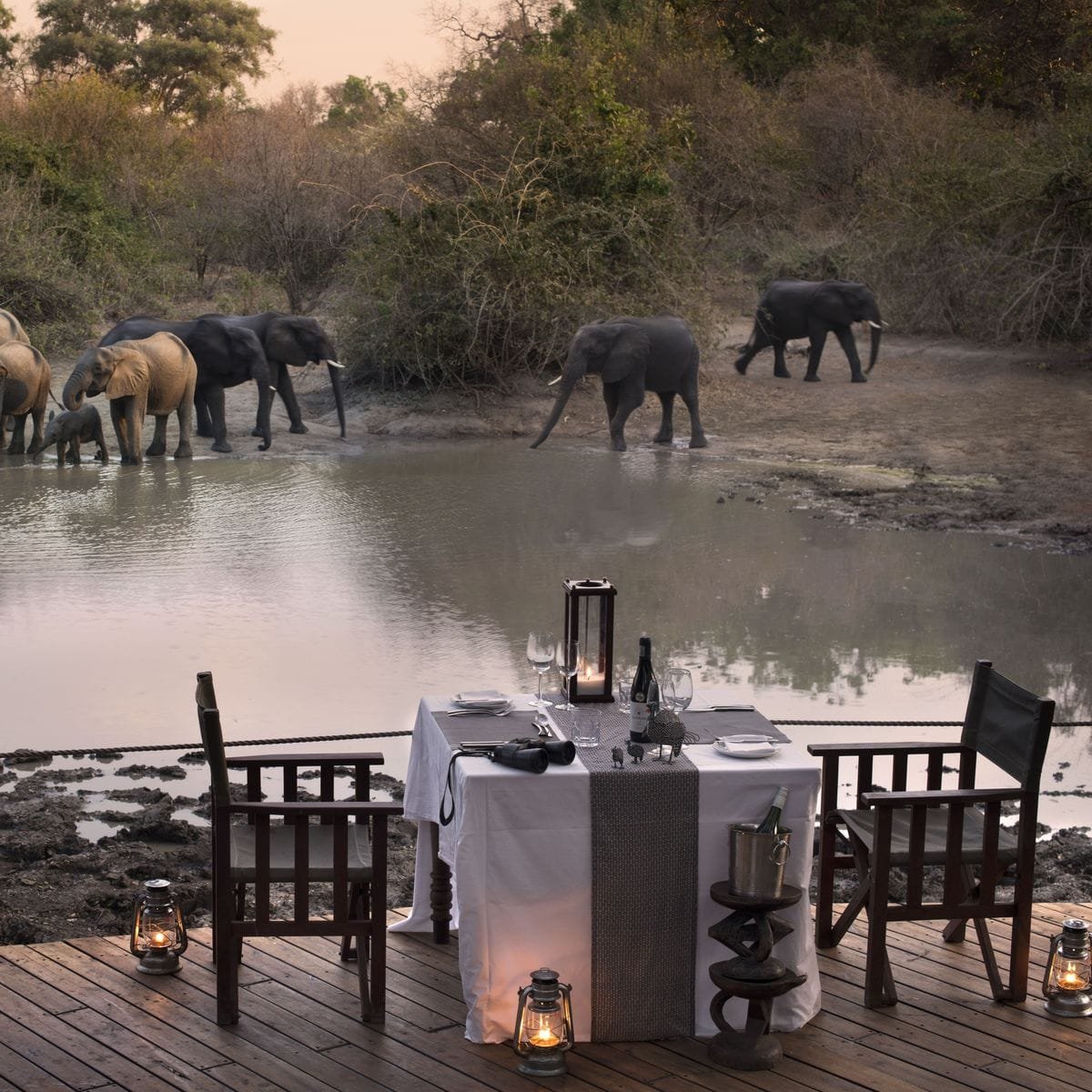 Proposal Safari in the Wild