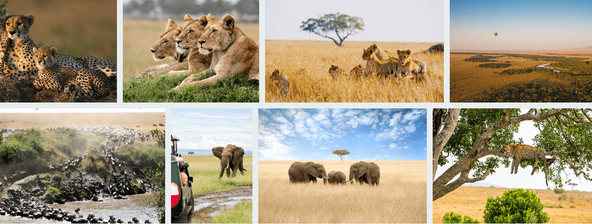 Explore Serengeti