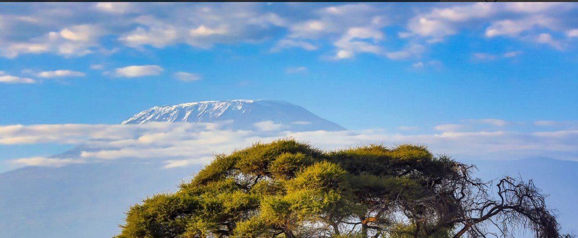 Snow-capped peak of Mount Kilimanjaro rising above the clouds