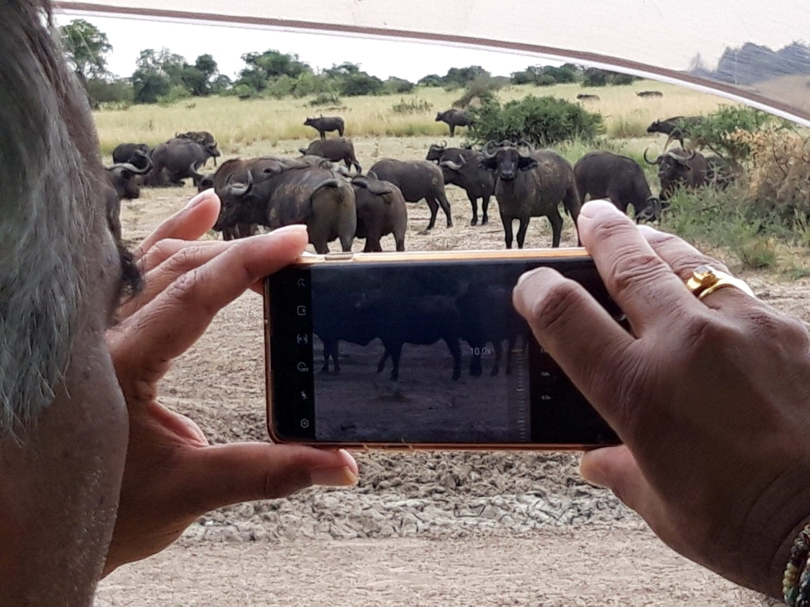 Group Safari Payment Plans – Affordable Booking Options