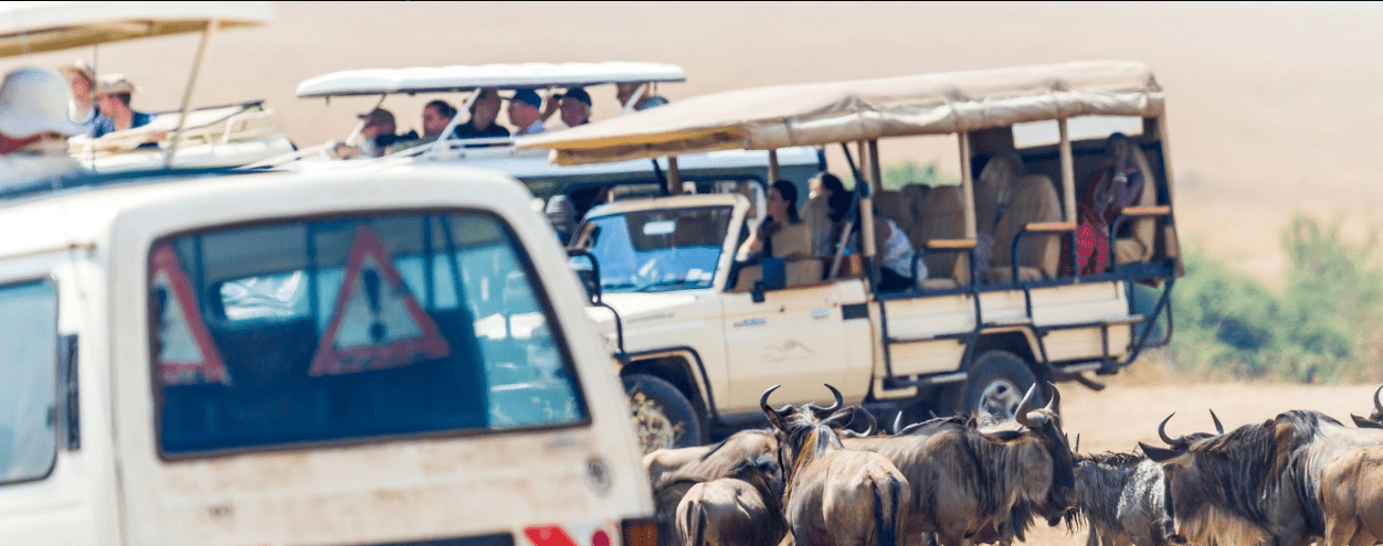 Can You Overland from Kenya to Tanzania by Bus? An Inspirational Journey of Adventure and Discovery