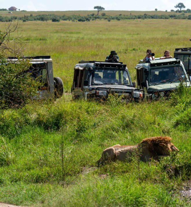 A rugged jeep parked on a scenic outdoor adventure, ready for an off-road journey.