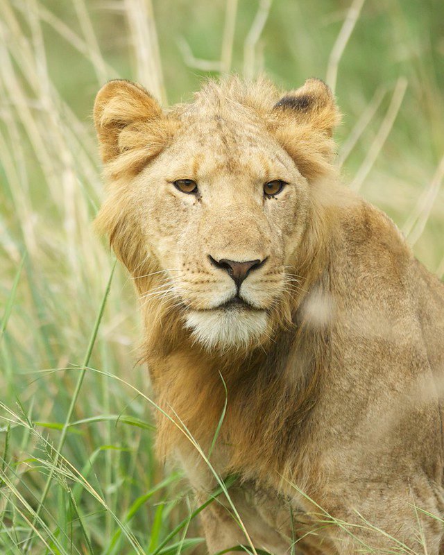 Queen Elizabeth National Park: Uganda's Tourism Pearl Queen Elizabeth National Park: Uganda's Tourism Pearl 5